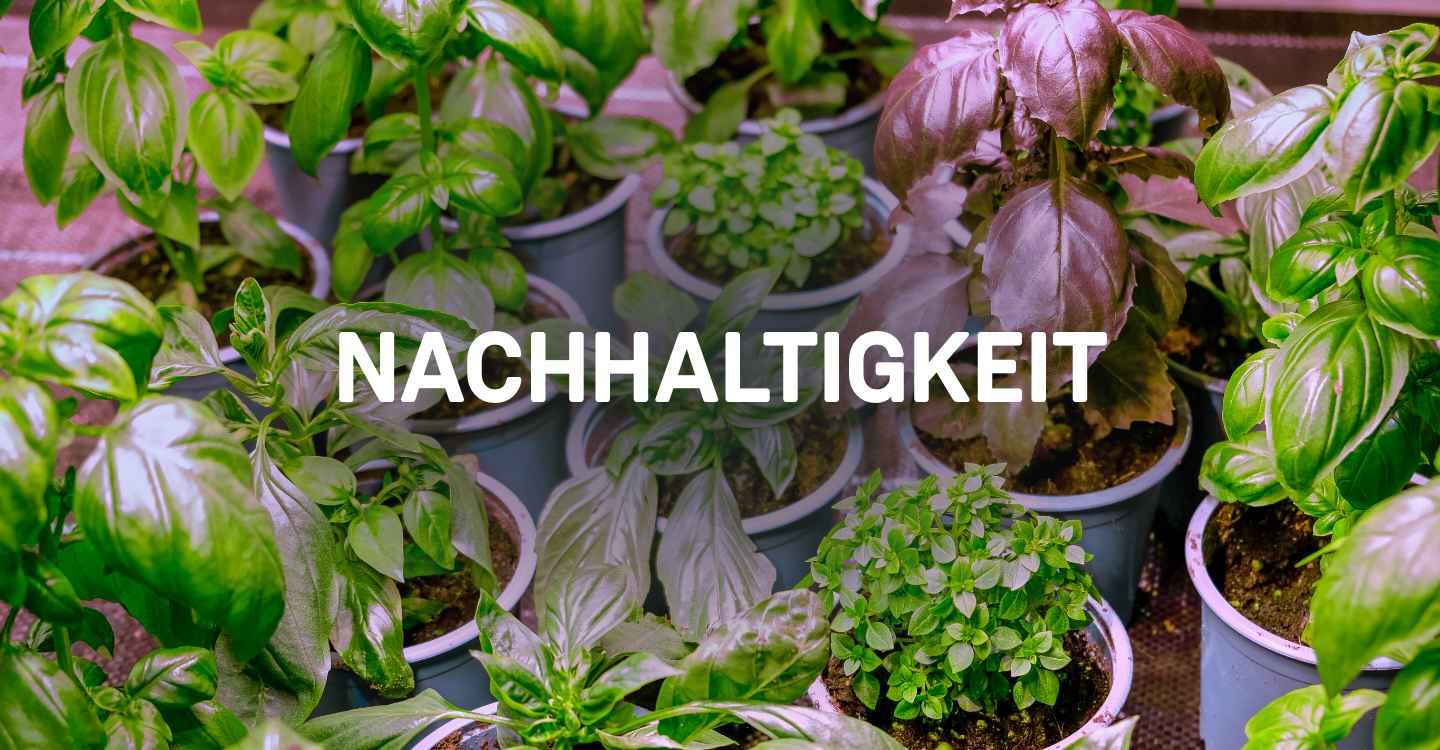 20250520_Banner-wehouseHerne_Nachhaltigkeit_1440x750